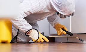 Best Pest Prevention Services  in Lake Shore, MD